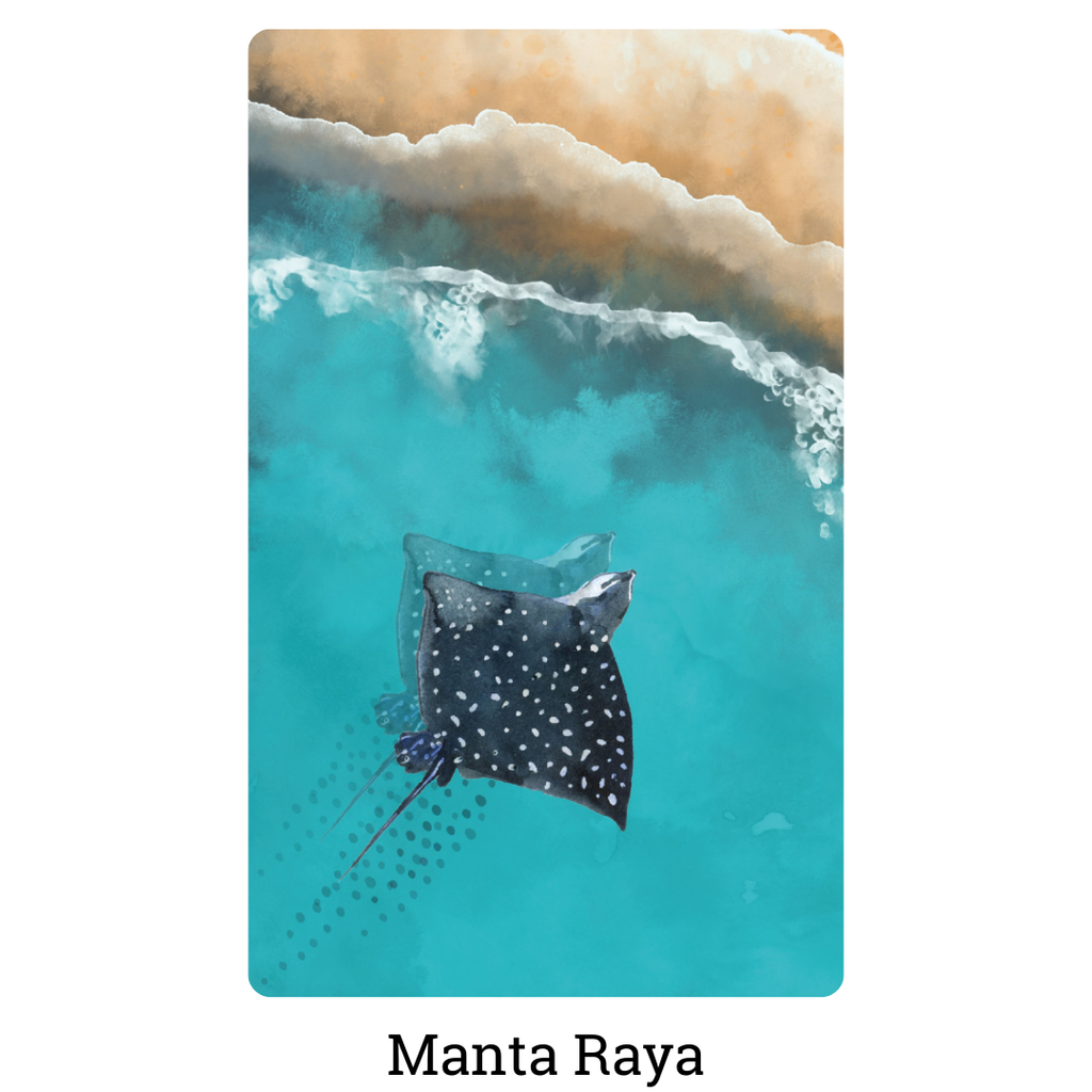 Toalla de Microfibra 130 x 80 cm